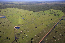 Large area of forest cleared for cattle grazing, Pantanal, Brazil