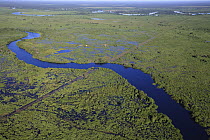 Pantanal in the rainy season, Brazil