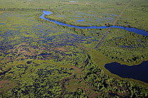 Pantanal in the rainy season, Brazil
