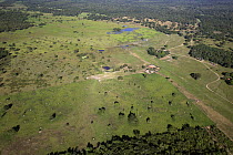 Large area of forest cleared for cattle grazing, Pantanal, Brazil