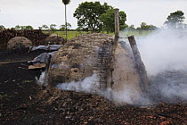 Charcoal kilns in unprotected forest is one of the main threats to habitat, Pantanal, Brazil