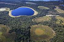 Saltwater lakes in southern Pantanal, Brazil