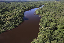 Aquidauana River flowing through rainforest, Pantanal, Brazil