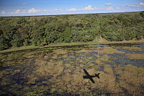Lake during the rainy season in southern Pantanal, Brazil