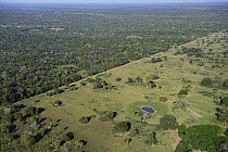 Large area of forest cleared for cattle grazing, Pantanal showing original forest, Brazil