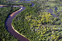 Rio Negro in dry season with oxbow lakes, Pantanal, Brazil