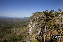 Cerrado ecosystem, Serra do Tombador, Goias State, Brazil