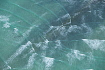 Ocean waves refracting over shallow reef, Cape Agulhas, South Africa