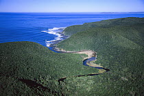 Coastal forest and coastline, Western Cape, South Africa