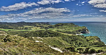 Coastal cliffs, Cape Farewell and Wharariki Beach, Golden Bay, New Zealand