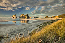 Evening light on sand dunes, Archway Islands in the distance, Wharariki Beach near Collingwood, Golden Bay, New Zealand