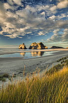 Evening light on sand dunes, Archway Islands behind, Wharariki Beach near Collingwood, Golden Bay, New Zealand