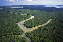Kinabatangan River flowing through tropical rainforest, Borneo, Malaysia