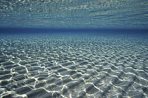 Ripple sand pattern in shallow water, Shark Bay, Western Australia