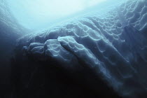 Iceberg underside in water, Antarctica