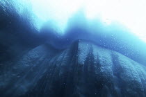 Iceberg underside in water, Antarctica