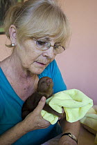 Hoffmann's Two-toed Sloth (Choloepus hoffmanni) two week old orphaned baby held by sanctuary owner Judy Avey-Arroyo, Aviarios Sloth Sanctuary, Costa Rica