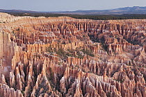 Eroded sandstone hoodoos, Bryce Canyon National Park, Utah