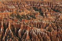 Eroded sandstone hoodoos, Bryce Canyon National Park, Utah