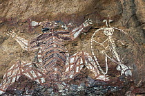 Aboriginal rock art with Namondjok, a dangerous spirit on the left and to the right is Namarrgon, the lightening man, Kakadu National Park, Australia