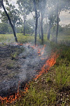 Bushfire, Kakadu National Park, Australia