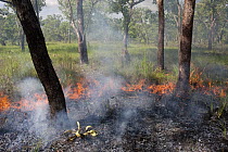 Bushfire, Kakadu National Park, Australia