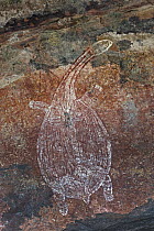 Aboriginal rock art of long necked turtle, Kakadu National Park, Australia