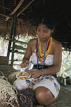 Embara Indian woman making basket using strong fibers from leaves of various palms that have been treated and dyed, Barro Colorado Island, Panama