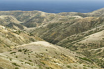 Eroded hillsides, Santa Rosa Island, Channel Islands National Park, California