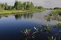 Suwannee Canal, Okefenokee National Wildlife Refuge, Florida