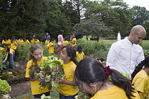 Students picking lettuce to prepare salad under direction of Michelle Obama and White House chef Sam Kassat, White House, Washington D.C.