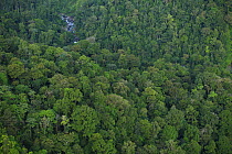 Teribe River flowing through rainforest, Volcano Baru National Park, Bocas del Toro, Panama