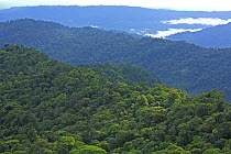Rainforest covering mountains in valley of the upper Teribe River, Volcano Baru National Park, Bocas del Toro, Panama