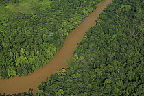 River silted by erosion due to deforestation for oil palm plantations, Niah National Park, Sarawak, Malaysia