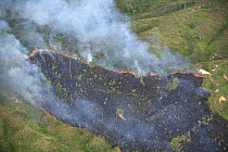 Fire sweeping through deforested land close to Lambir Hills National Park, Sarawak, Malaysia