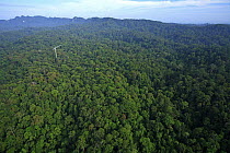 Research crane in the forest which scientists use to study the canopy, Lambir Hills National Park, Sarawak, Malaysia