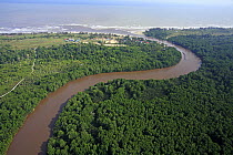 River with sediments caused by erosion due to deforestation for oil palm plantations, Niah National Park, Sarawak, Malaysia