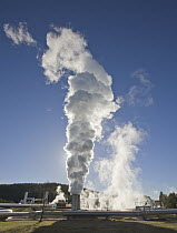 Steam rising from large thermally powered Wairakei Power Station, North Island, New Zealand