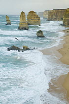 Twelve Apostles limestone stacks, Great Ocean Road, Port Campbell National Park, Victoria, Australia