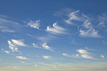 Cirrus clouds, Nullarbor Plain, Western Australia, Australia
