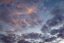 Scattered clouds at sunrise, Norman's Beach, Western Australia, Australia