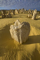 Eroded limestone pinnacles, Nambung National Park, Western Australia, Australia