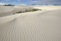 White sand dunes, Western Australia, Australia
