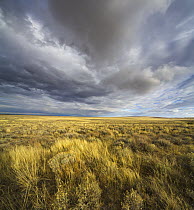 Cumulus clouds over prairie, Hart Mountain National Wildlife Refuge, Oregon