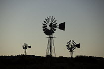 Windmills, Northern Cape, South Africa