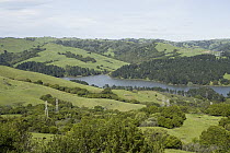 Briones Reservoir and powerlines in oak savanna covered hillsides, Berkeley, California