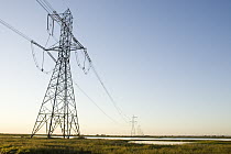 Powerlines, Jepson Prairie Preserve, Solano, California