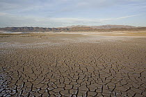 Cracked mud, looking east towards the Nopah Range, Amargosa Desert, Tecopa, California