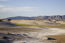 Tecopa, looking north-west to the Nopah range, Amargosa Desert, California