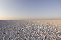Salt Pan, Makgadikgadi Pans, Kalahari Desert, Botswana